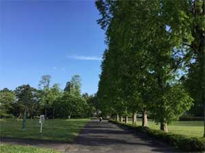 おおはしクリニック