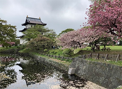 おおはしクリニック