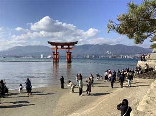 おおはしクリニック