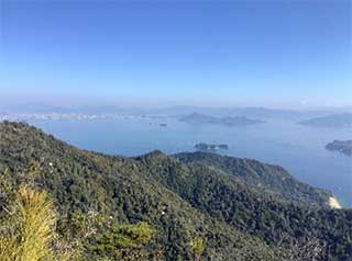 おおはしクリニック