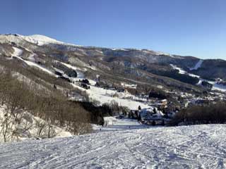 おおはしクリニック